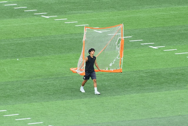 持高水平发